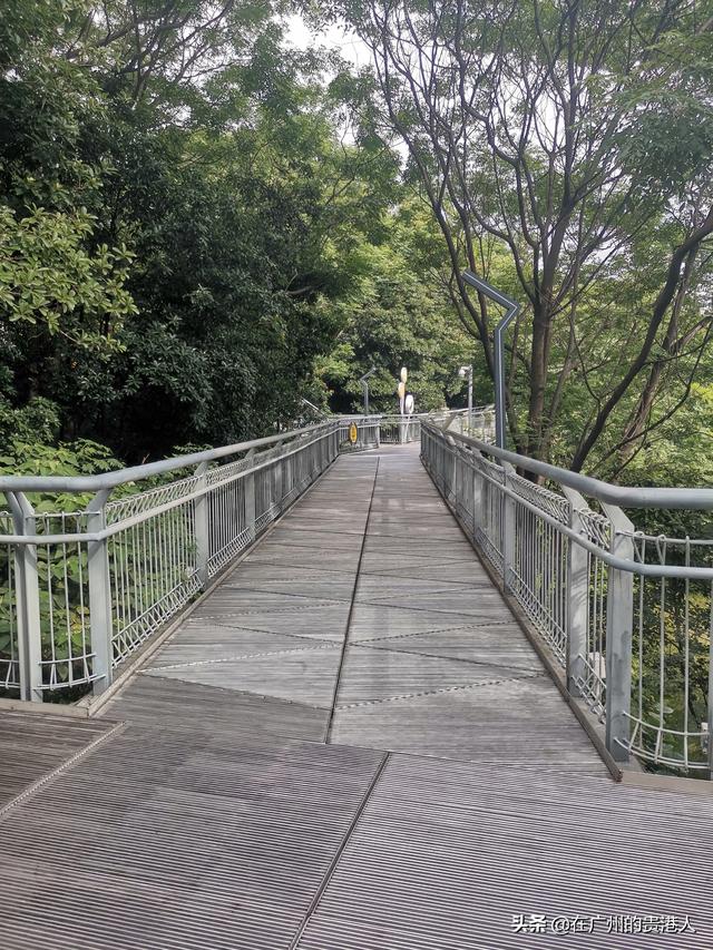 【山楂味的诗】走马观花,看顺德大良。