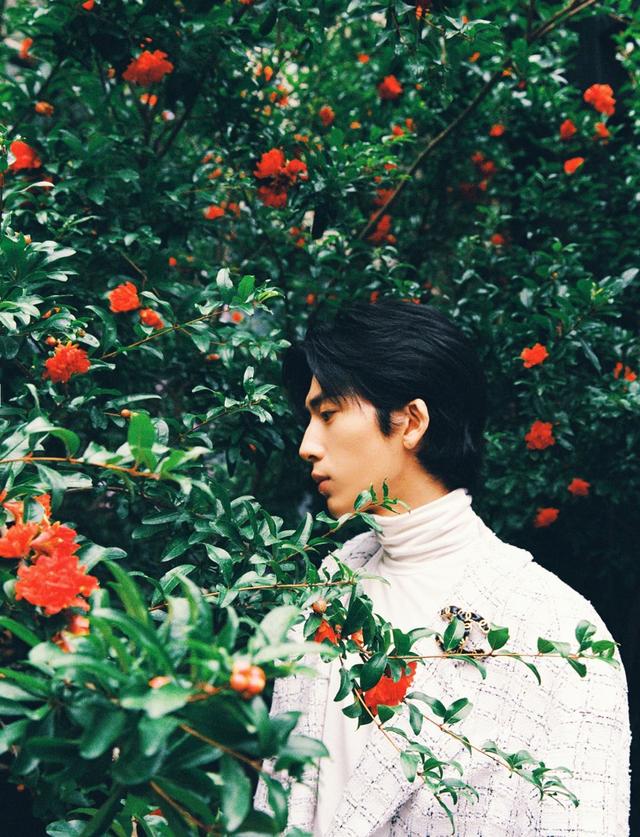 惊落梧桐|井柏然《拜托了冰箱》爆笑之余，细节看出高情商