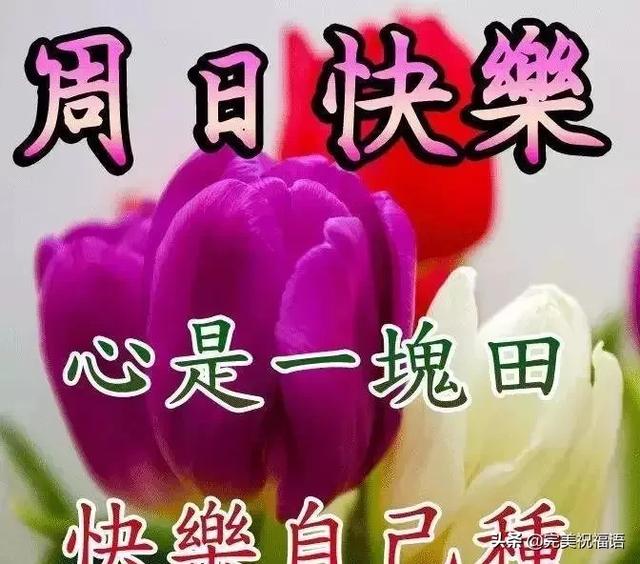 清晨阳光照在身祝你幸福又平安；清晨微风吹你脸祝你梦想早实现