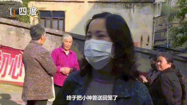 幸福的小调|“神兽”开学家长就彻底解放啦？育儿路漫漫，任重而道远