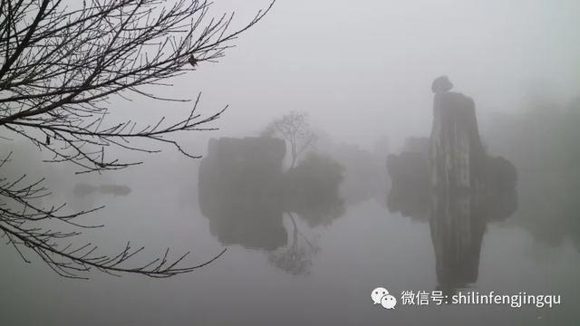 「趣旅游」【雾雪霜华】石林湖的白雾凉波