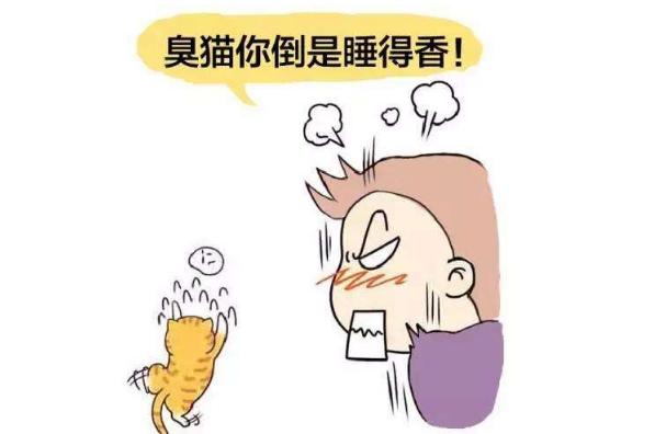 「你的育儿经」孩子总发脾气怎么办？不妨试试“踢猫效应”教育，比说教更管用