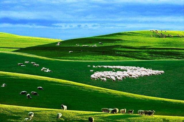 「世界那么大」人生如逆旅,我亦是行人