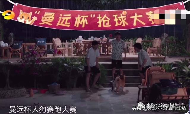 《向往的生活》：沙溢成五星级景点，郭麒麟意外透露择偶标准？fun娱乐