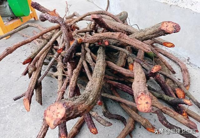 中毒|7人中毒1人死亡！福建疾控紧急提醒