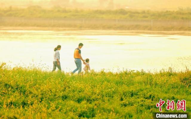 长沙县|“中西部第一县”湖南长沙县打造现代化医卫健康强县