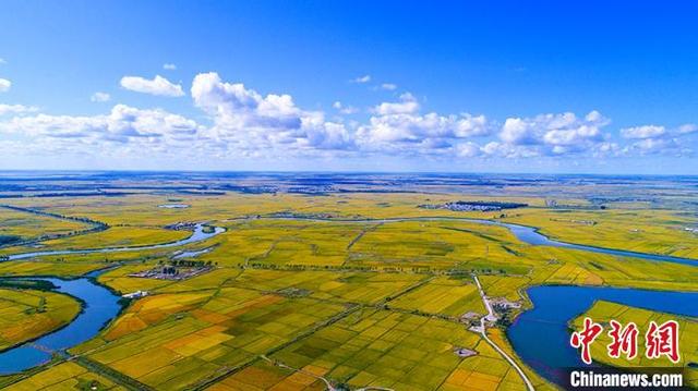 增长|疫情之年吉林经济：工业依旧强势 投资增速保持高位