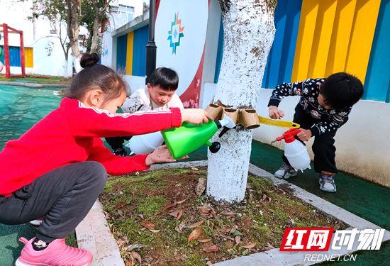 树木|武陵源区机关幼儿园开展植树节环保主题活动