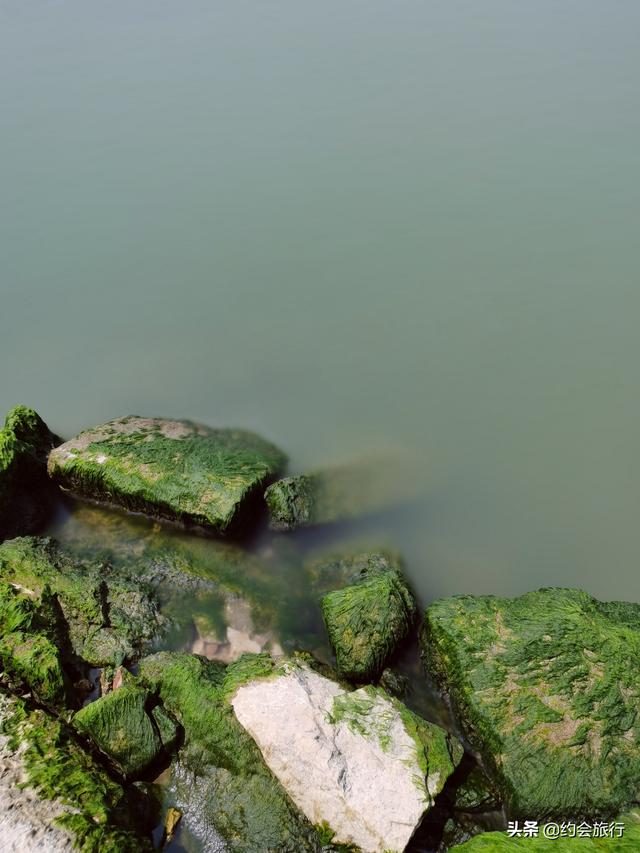 趣旅游▲五一小长假去武汉东湖绿道骑行，在百花与山水间探秘江城绮丽之春