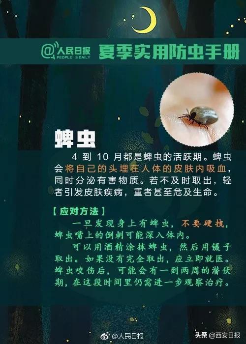 叮咬|清明出游后腿上多了几个红斑，医生紧急提醒：千万小心它，可致命