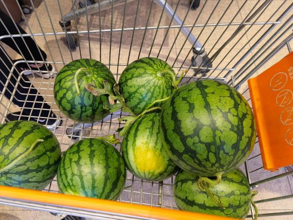 西瓜|甜而不腻、脆而多汁，胜过冰淇淋，上海今年好瓜不少