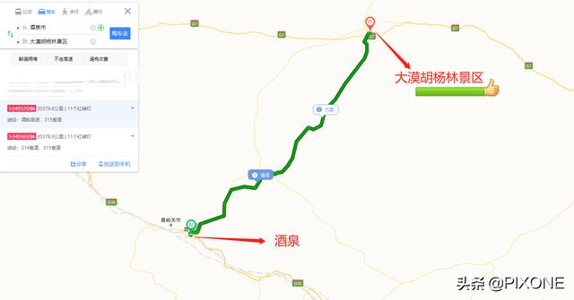 「旅行百事通」远古胡杨沧桑千年，邂逅大漠胡杨，遇见人间秘境