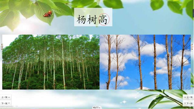 小学语文部编版二年级上册 树之歌教学设计