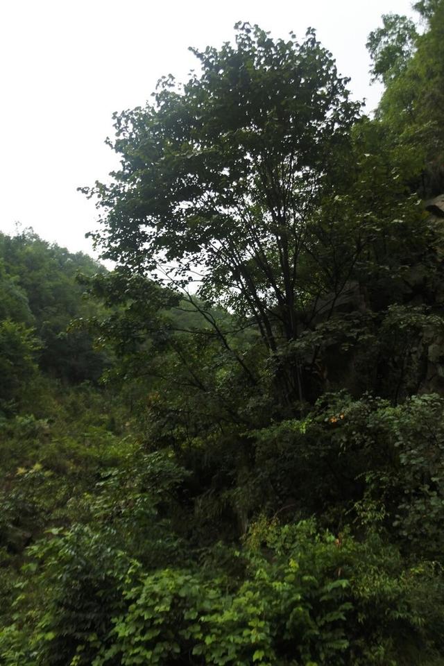 玩乐足迹:这样全景式展现的旅游攻略您肯定没见过一旦您点开就会喜欢上她