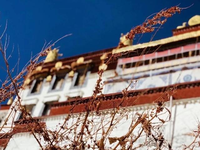 3年的耳聋好了，耳鸣不见了，只需2味药，一通一补有奇效