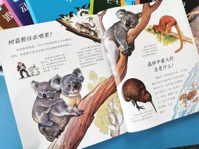 「影视交流地」黄圣依被5岁儿子嫌弃却获赞无数:用百科书喂大的孩子眼界不一般