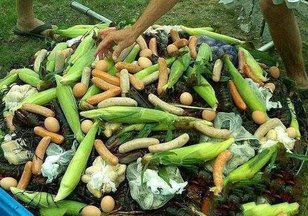 #趣旅游#外国人的野炊烧烤，中国吃货看了：简直是浪费粮食啊