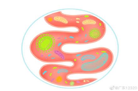 便秘|生活中这4件事，很影响肠道健康