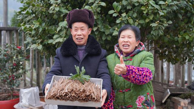 吃火锅来点红薯粉，让湘潭县谭家山镇贫困薯农好过年