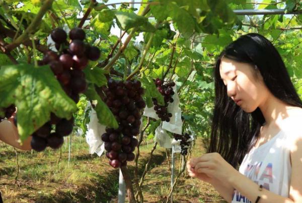 你的育儿经|想让宝宝大眼、颜值高？孕期记住“三多吃”，了解元素补充对照表