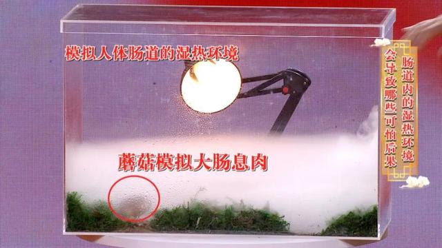 脸上三角区有色素沉着，易患肠息肉！一杯代茶饮，预防息肉少复发