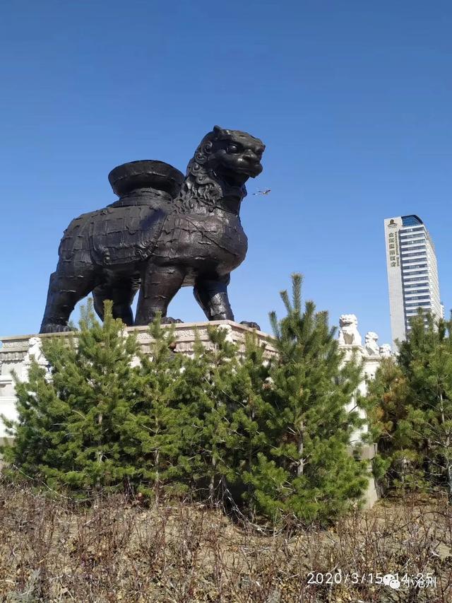 趣旅游@【沧州发布】：继狮城公园、新华、长芦公园开放后，名人植物园赏郁金香，还有这些公园陆续开放