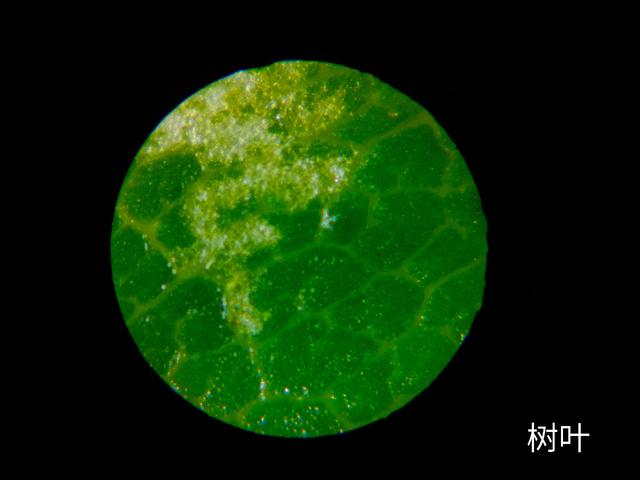 【你的育儿经】小米有品黑科技，120X无极变倍，六一儿童节给孩子大礼物