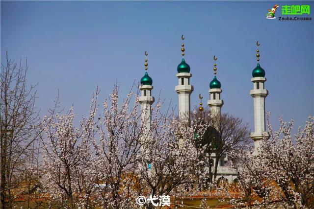 旅行百事通:甘肃有座小城,丹霞中的杏花村,被称为全国奇观!却少有游人