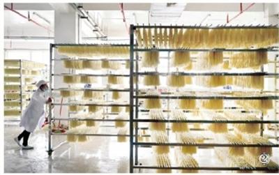 小吃|画里有话｜小吃产业大作为