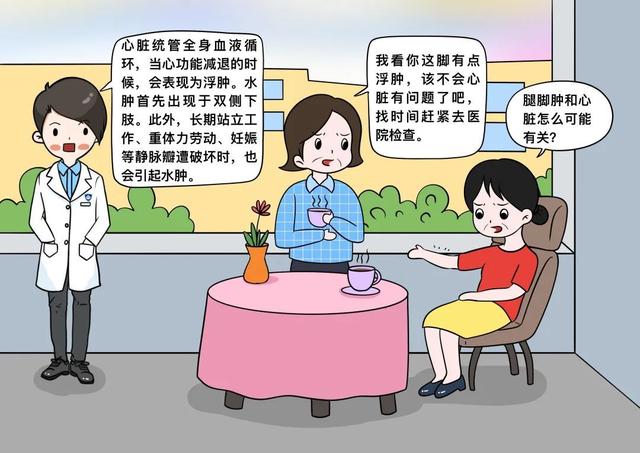 血液|脚肿和心脏没关系？