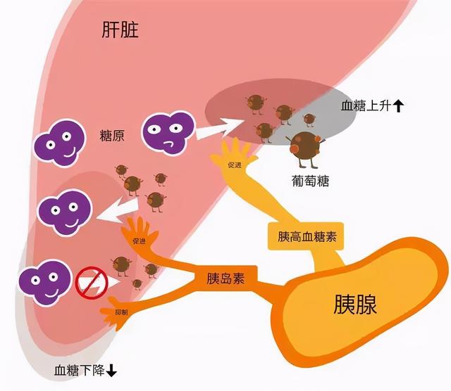 戒糖=戒掉快乐？来自糖的幸福感全是假象