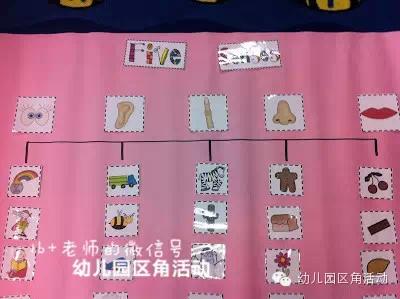 你的育儿经▲主题活动 | 从头玩到脚~！100个区角活动灵感，玩转“我的身体”