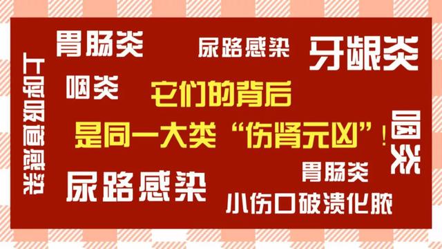 养肾先扶正！抓住正气虚衰的早期信号，调好脾肺肾，远离肾脏危机