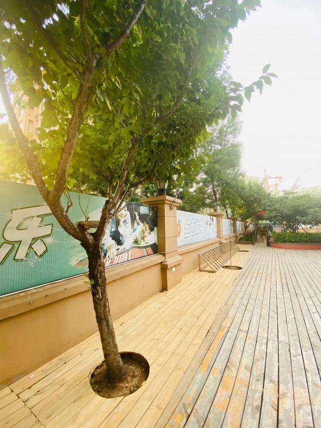 齐鲁东营资讯|开学啦 我们不见·不散