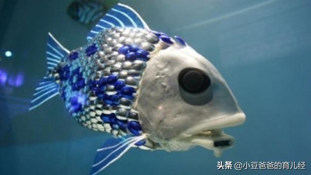「你的育儿经」这3种食物一定不要吃，否则会造成“滑胎”，不知道的妈妈赶紧看