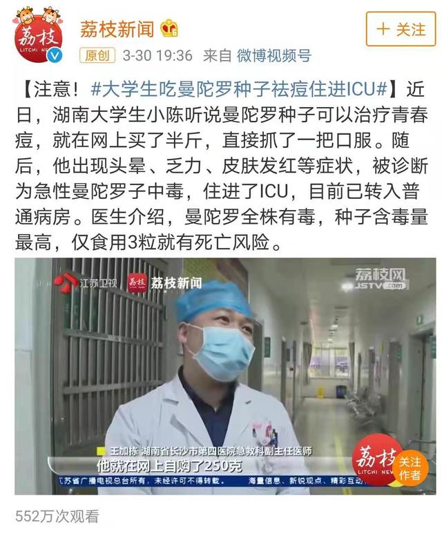 中毒|曼陀罗种子能祛痘？有人吃了结果住进ICU，这些偏方太害人了