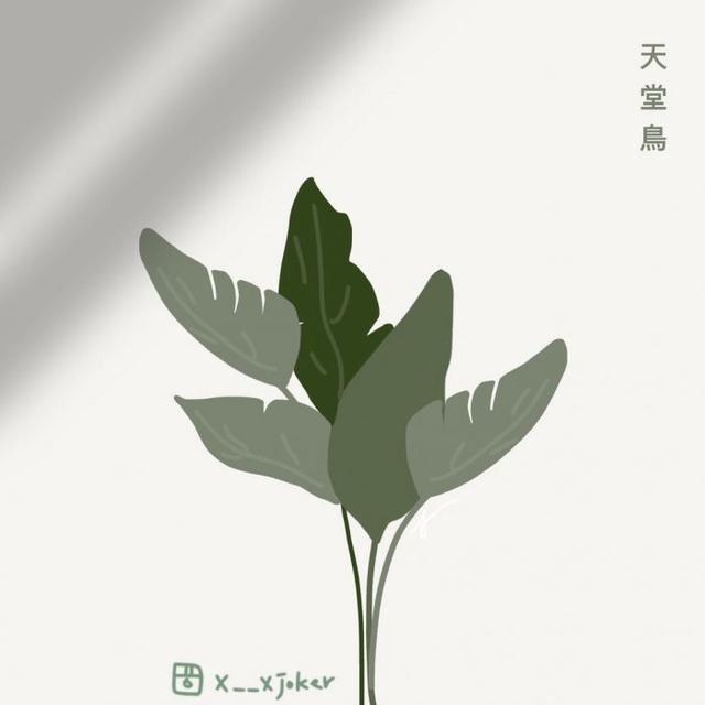 这些植物 可以一秒看穿你的爱情观 别不信