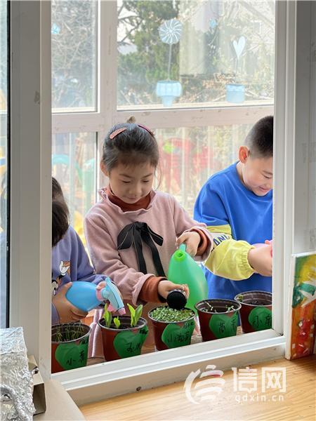 课程|青岛市北区启动“童真·童年”幼儿园课程研究项目