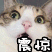 文字上的青年@注意！学考被录取，这种情况会被记入档案、影响个人征信？赶紧看！