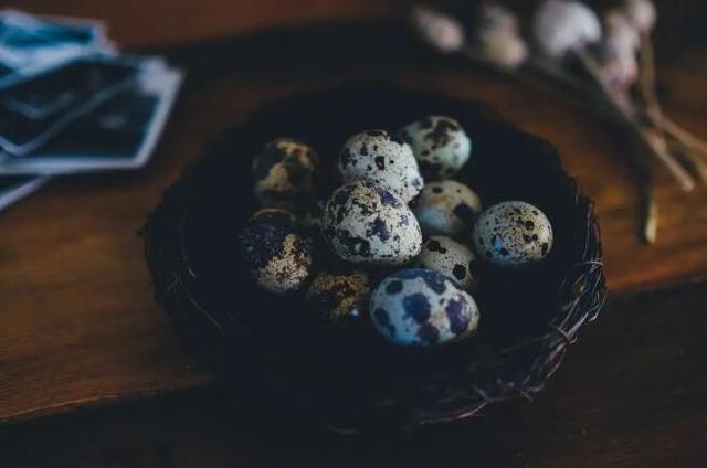 鸡蛋|“动物人参”，常吃补遍全身