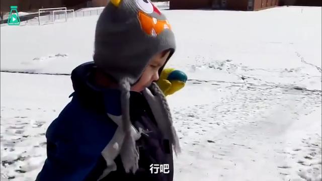 伐木累|5岁女儿提议“卖掉”弟弟，亲爸连忙了解原因，网友：逻辑鬼才