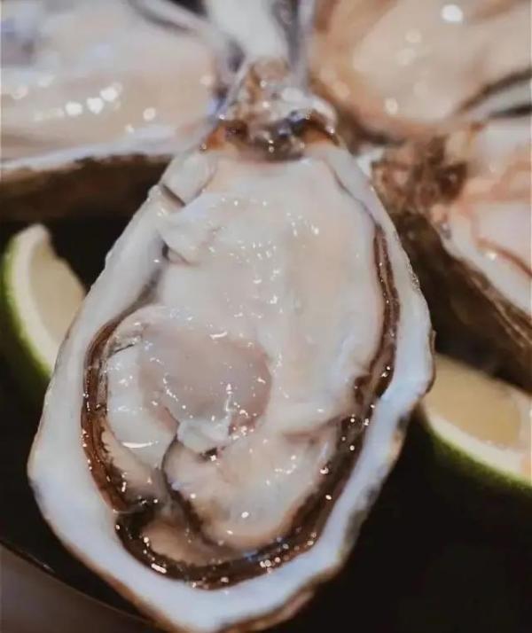 茂名|快来茂名，吃吃吃吃吃吃吃吃