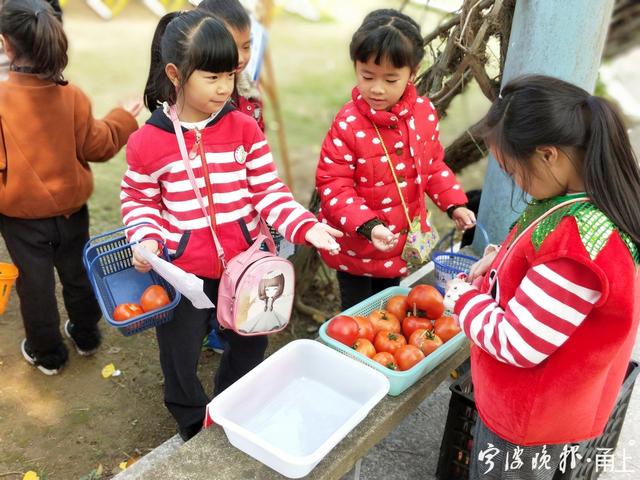 宁波这所乡村幼儿园的孩子们在“小集市”里幸福玩乐，学做社会小公民