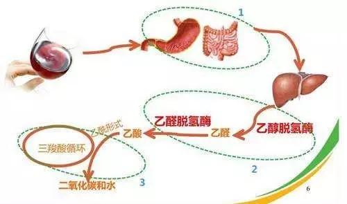 #静静课堂#「生活」没肝炎却患上肝癌的人 都是被这一个习惯害的