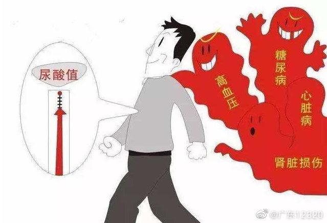 尿酸|高尿酸为什么可怕