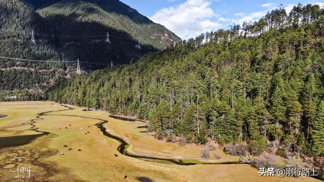 「旅行柚子君」镶嵌在高山森林之中的绿色宝石,这就是草湖