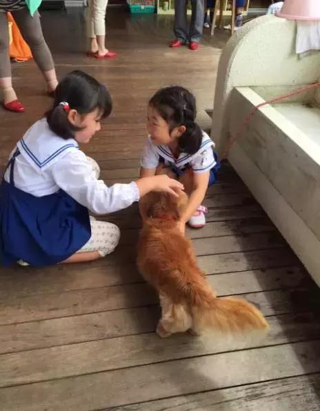「你的育儿经」为什么日本的幼儿园教育名列世界前茅？这9个细节值得父母们深思