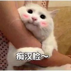 「暖先生格调」“同学，为了你的爱豆也要拼命努力好嘛！！！”