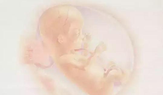超级宝妈|胎儿在孕妈肚子里有“三怕”，早中晚3个阶段，妈妈要多加注意