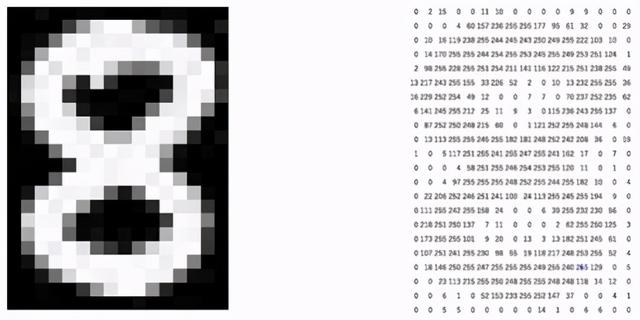 你曾想过如何将图像存储在数据集中吗？